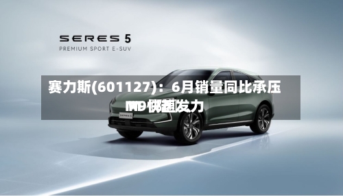 赛力斯(601127)：6月销量同比承压 M〖陆〗、M9快速发力-第3张图片