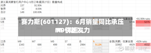 赛力斯(601127)：6月销量同比承压 M〖陆〗、M9快速发力-第2张图片