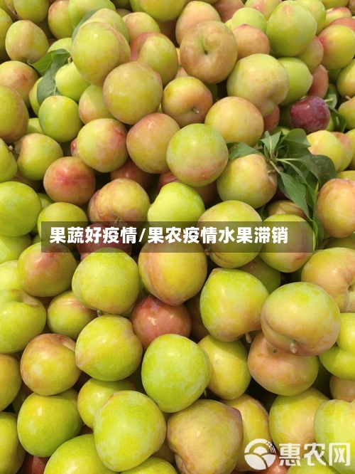 果蔬好疫情/果农疫情水果滞销