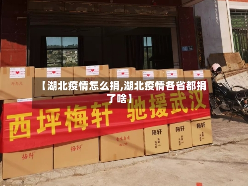 【湖北疫情怎么捐,湖北疫情各省都捐了啥】