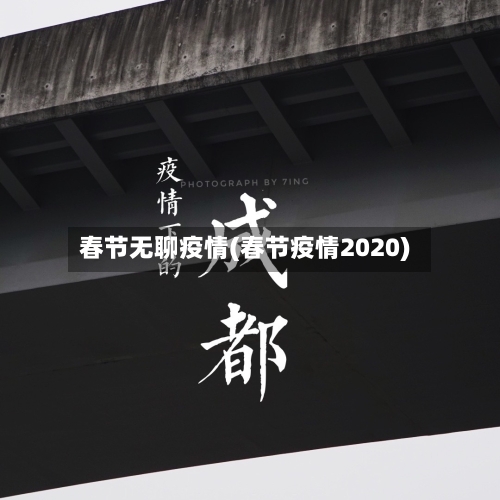 春节无聊疫情(春节疫情2020)-第2张图片