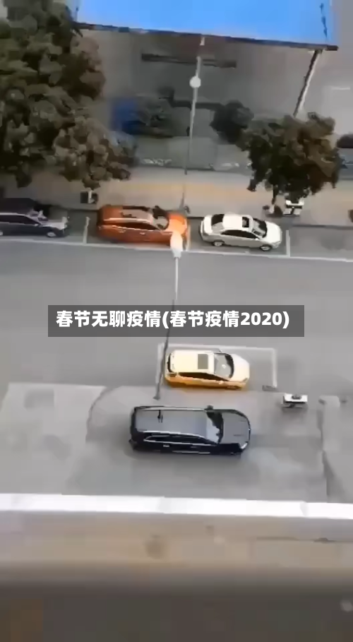 春节无聊疫情(春节疫情2020)