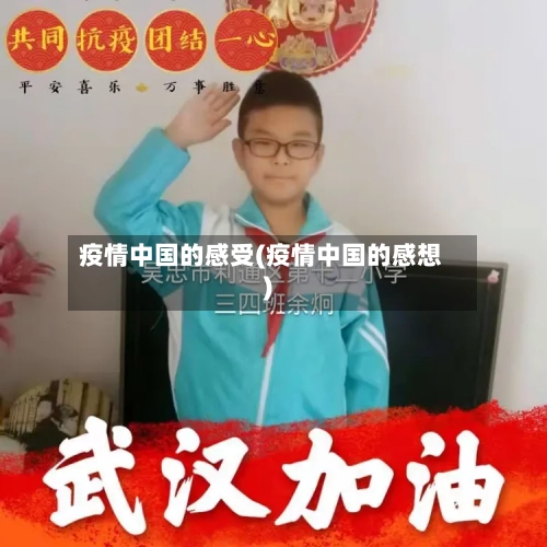 疫情中国的感受(疫情中国的感想)-第3张图片