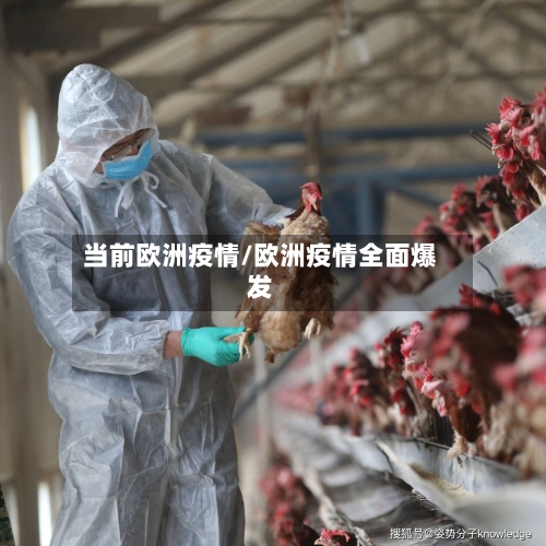当前欧洲疫情/欧洲疫情全面爆发