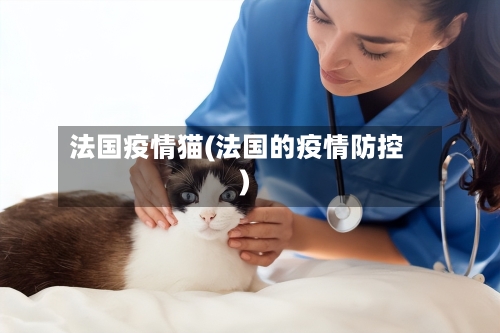 法国疫情猫(法国的疫情防控)