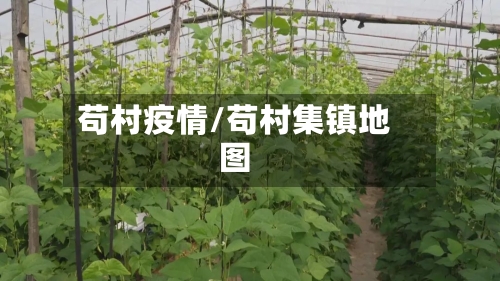 苟村疫情/苟村集镇地图-第2张图片