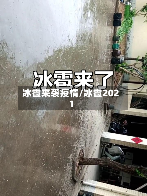 冰雹来袭疫情/冰雹2021