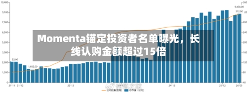 Momenta锚定投资者名单曝光，长线认购金额超过15倍-第3张图片
