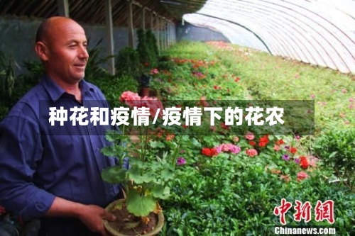 种花和疫情/疫情下的花农