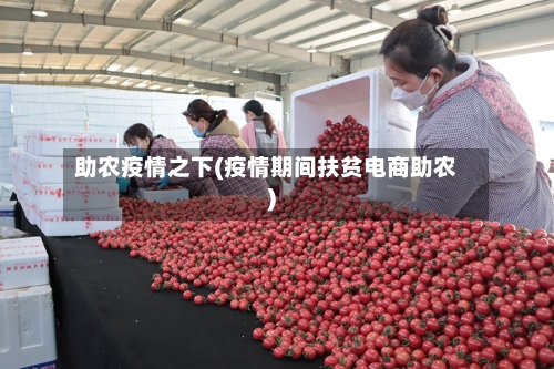 助农疫情之下(疫情期间扶贫电商助农)