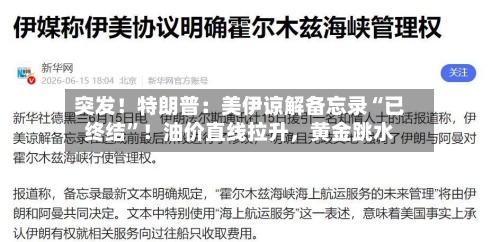 突发！特朗普：美伊谅解备忘录“已终结”！油价直线拉升	，黄金跳水-第3张图片
