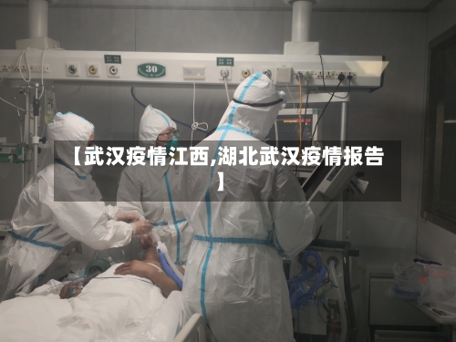 【武汉疫情江西,湖北武汉疫情报告】