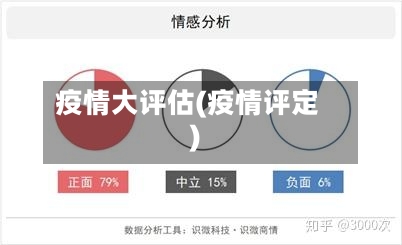 疫情大评估(疫情评定)