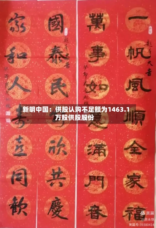 新明中国：供股认购不足额为1463.1万股供股股份