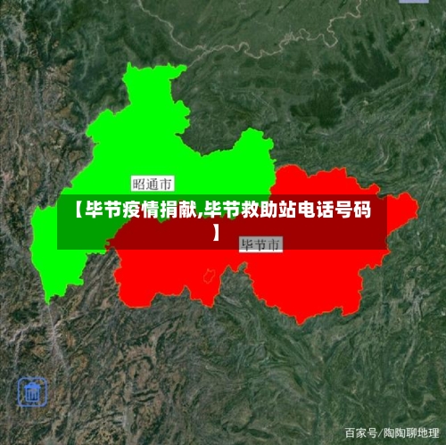 【毕节疫情捐献,毕节救助站电话号码】