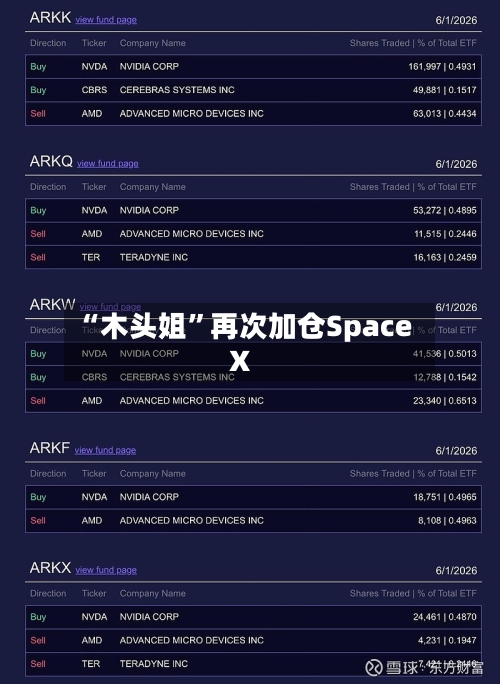 “木头姐”再次加仓SpaceX-第3张图片