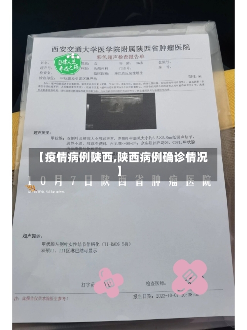 【疫情病例陕西,陕西病例确诊情况】