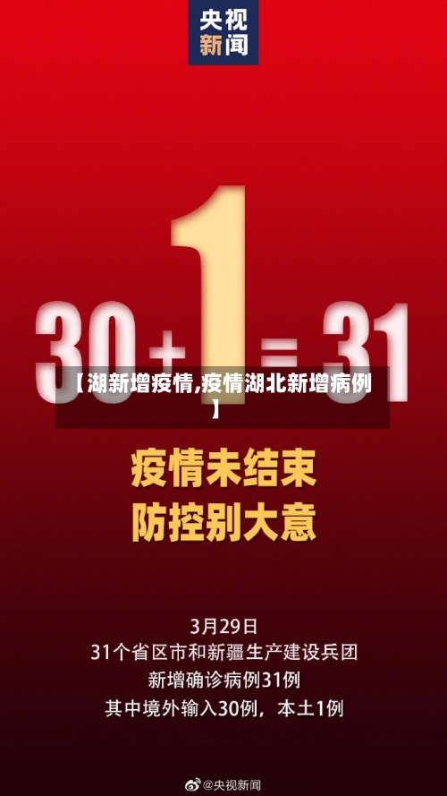 【湖新增疫情,疫情湖北新增病例】-第2张图片