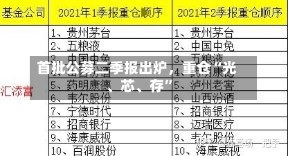 首批公募二季报出炉，重仓“光、芯、存”-第2张图片