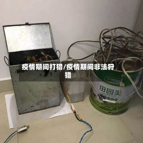 疫情期间打猎/疫情期间非法狩猎