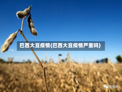 巴西大豆疫情(巴西大豆疫情严重吗)-第2张图片
