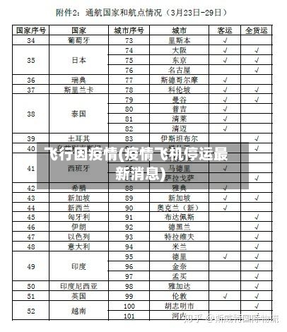 飞行因疫情(疫情飞机停运最新消息)-第2张图片