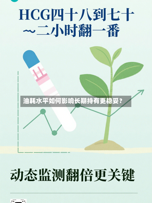 油耗水平如何影响长期持有更稳妥？