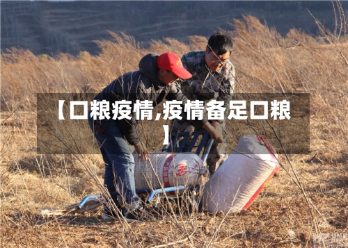 【口粮疫情,疫情备足口粮】