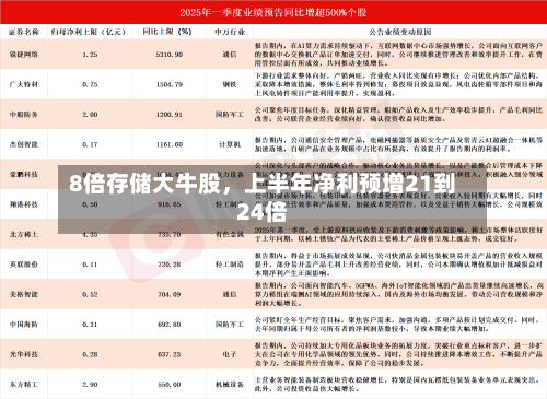 8倍存储大牛股，上半年净利预增21到24倍-第3张图片