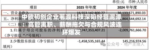 中欧初创企业苇渡科技深陷经营泥潭：高管离职、薪酬拖欠与合规风波连环爆发-第3张图片