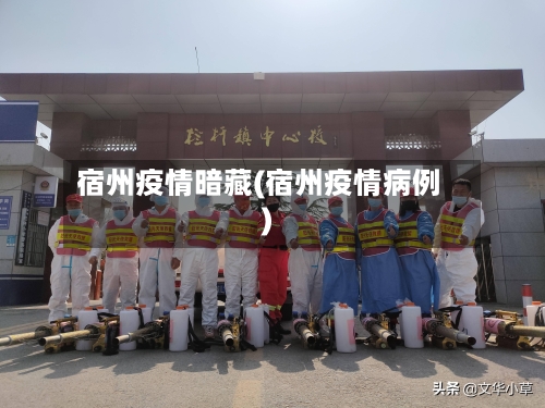 宿州疫情暗藏(宿州疫情病例)-第2张图片