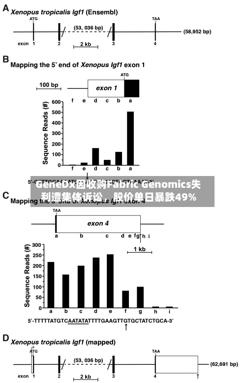 GeneDx因收购Fabric Genomics失利遭集体诉讼	，股价单日暴跌49%-第2张图片