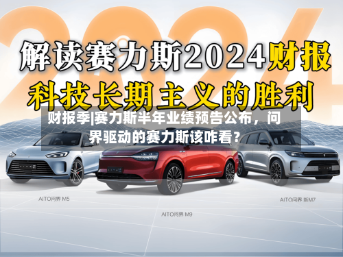 财报季|赛力斯半年业绩预告公布，问界驱动的赛力斯该咋看？-第3张图片