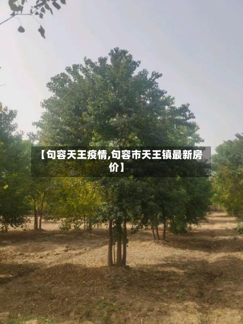 【句容天王疫情,句容市天王镇最新房价】
