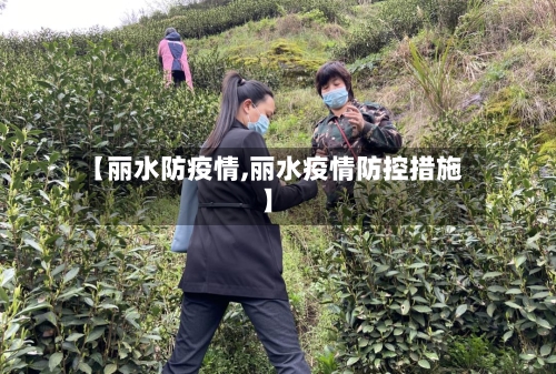 【丽水防疫情,丽水疫情防控措施】