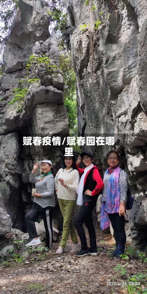 赋春疫情/赋春园在哪里-第2张图片