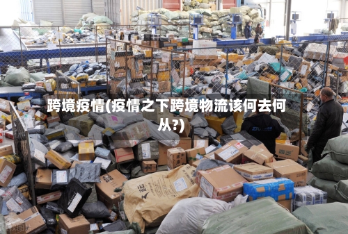 跨境疫情(疫情之下跨境物流该何去何从?)-第2张图片