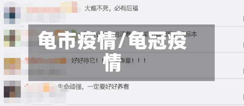 龟市疫情/龟冠疫情-第3张图片