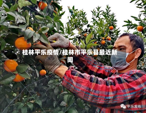 桂林平乐疫情/桂林市平乐县最近新闻-第2张图片