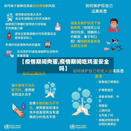 【疫情期间肉蛋,疫情期间吃鸡蛋安全吗】-第2张图片
