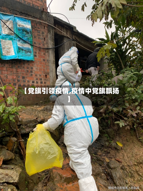 【党旗引领疫情,疫情中党旗飘扬】