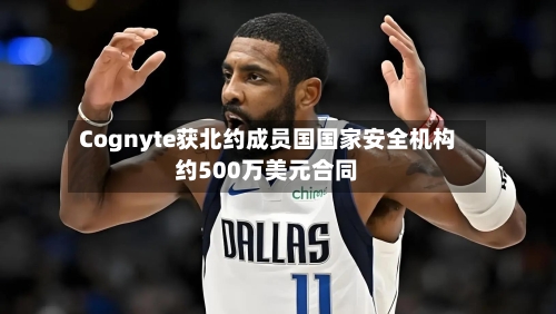 Cognyte获北约成员国国家安全机构约500万美元合同