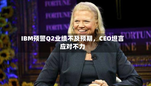 IBM预警Q2业绩不及预期，CEO坦言应对不力-第3张图片