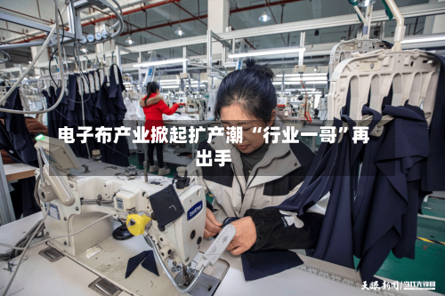 电子布产业掀起扩产潮 “行业一哥	”再出手-第3张图片
