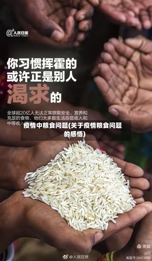疫情中粮食问题(关于疫情粮食问题的感悟)-第3张图片