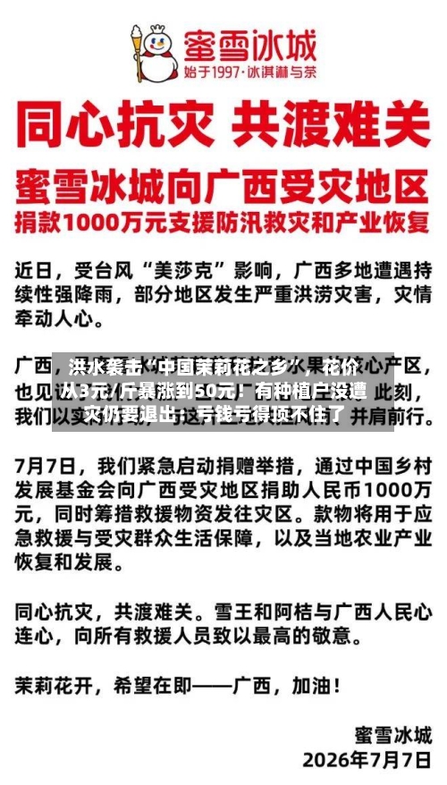 洪水袭击“中国茉莉花之乡	”，花价从3元/斤暴涨到50元！有种植户没遭灾仍要退出：亏钱亏得顶不住了-第2张图片