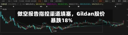 做空报告指控渠道填塞，Gildan股价暴跌18%-第2张图片