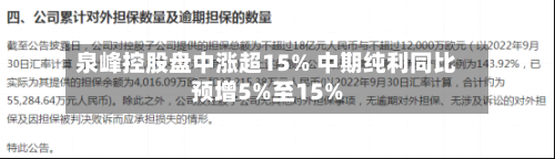 泉峰控股盘中涨超15% 中期纯利同比预增5%至15%-第2张图片