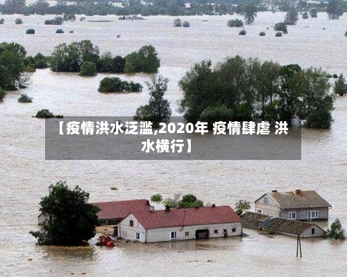【疫情洪水泛滥,2020年 疫情肆虐 洪水横行】