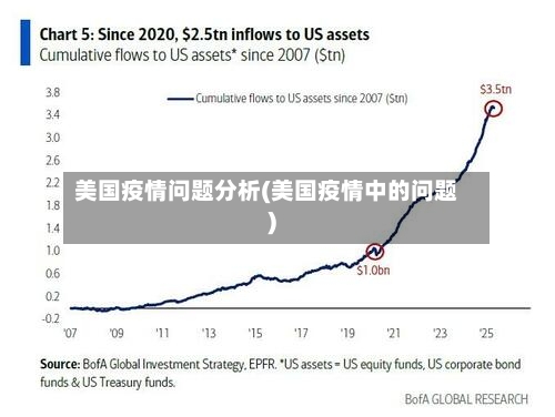 美国疫情问题分析(美国疫情中的问题)